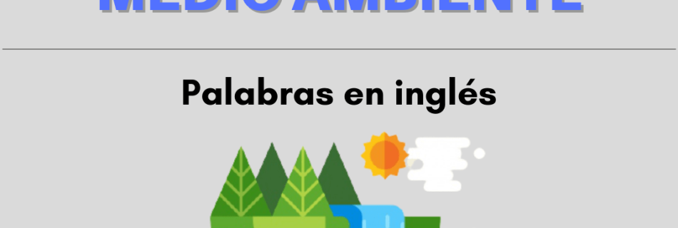 día mundial del medioambiente curso de inglés para empresas en valencia